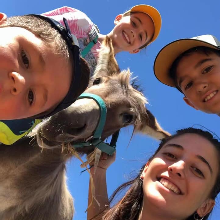 Selfie of children and donkey<br />
