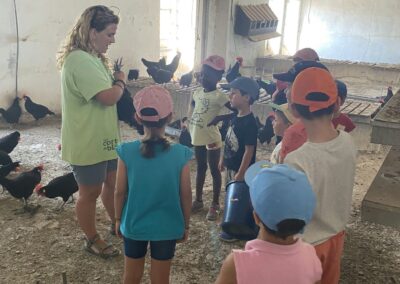 Niños dando de comer a las gallinas en Granja escuela Las Cortas de Blas. Excursiones para colegios