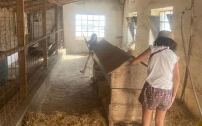 ¿Por qué las Granjas Escuela en Valladolid son la Mejor Opción Educativa?